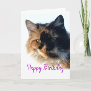 Calico kat Verjaardag Kaart