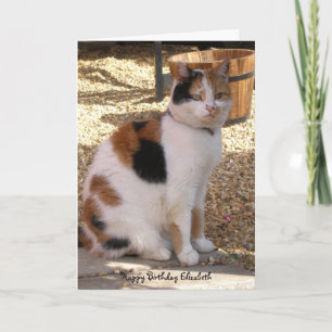 Calico kat zitten in de tuin Verjaardag Kaart