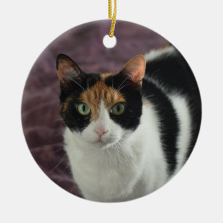 Calico-kattenversiering Keramisch Ornament