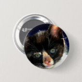 Calico Kitten Button (Voorkant /achterkant)