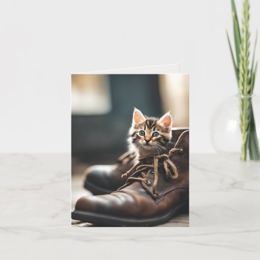 Calico Kitten En Chaussure Ancienne (Devant)