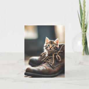 Calico Kitten En Chaussure Ancienne