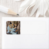 Calico kitten etiket (Insitu)