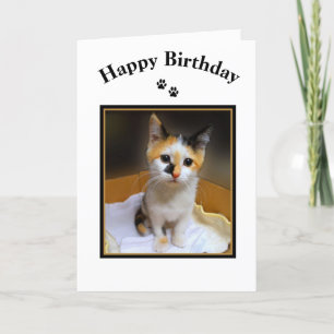 Calico Kitten Happy Birthday Kaart