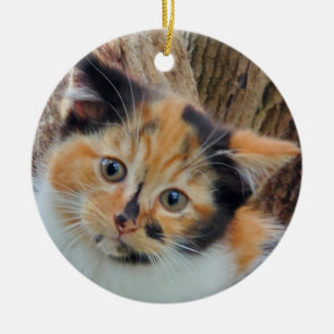 Calico kitten keramisch ornament