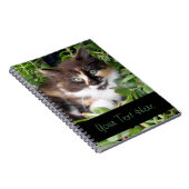 Calico Kitten-laptop Notitieboek (Rechterzijde)