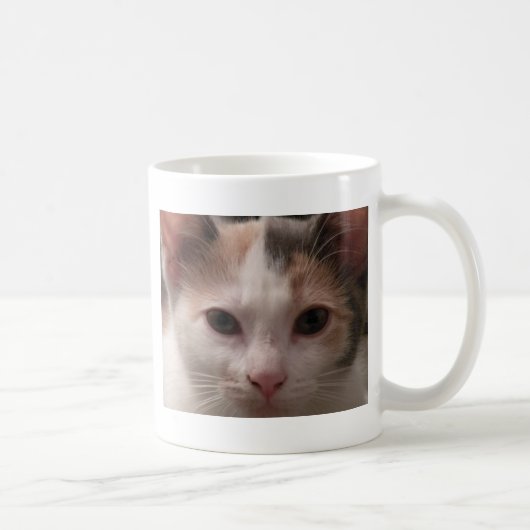 Calico kitten mok (Rechts)