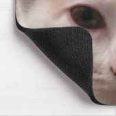 Calico kitten mousepad muismat (Hoek)
