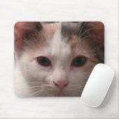 Calico kitten mousepad muismat (Met muis)