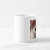 Calico kitten mug (Centre)