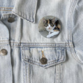 Calico Kitten Ronde Button 5,7 Cm (In situ)