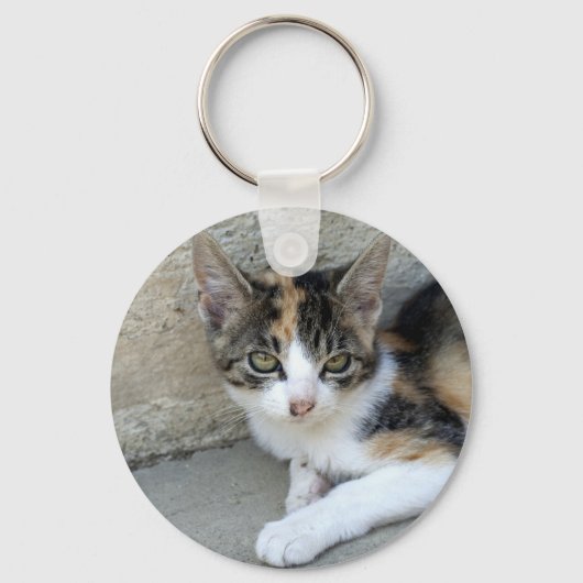 Calico Kitten Sleutelhanger (Voorkant)