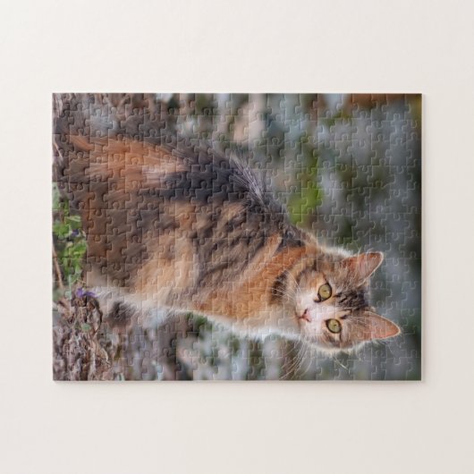  Calico Kitty Cat Legpuzzel (Horizontaal)