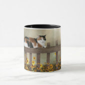 Calico kitty cat mok (Midden)