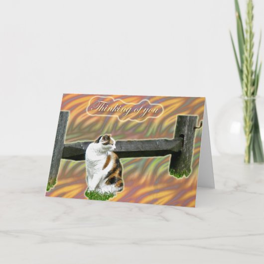 Calico Kitty Chat Penser à votre carte (Devant)