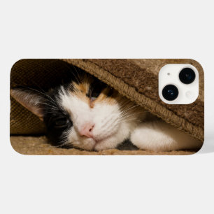 Calico onder de Rug iPhone Case