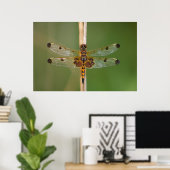 Calico Pennant Poster (Thuiskantoor)