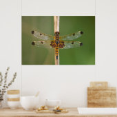 Calico Pennant Poster (Keuken)
