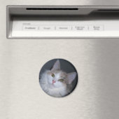 Calico princess magneet (Insitu (Vaatwasser))