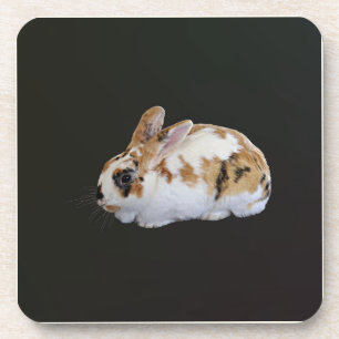 Calico Rabbit Bier Onderzetter