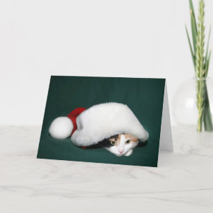 Calico Santa Feestdagen Kaart