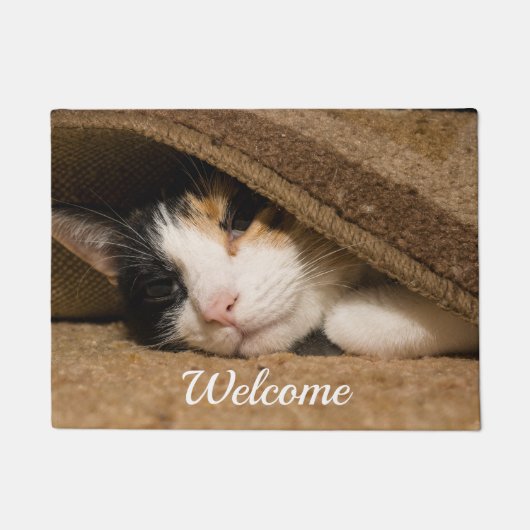 Calico Sous Le Tapis D'Accueil Du Tapis (Devant)