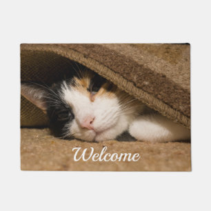 Calico Sous Le Tapis De Bienvenue