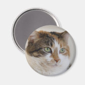 Calico tabby kattengezicht magneet (Voorkant / Achterkant)