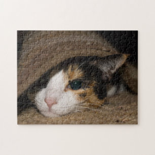 Calico Taco Legpuzzel