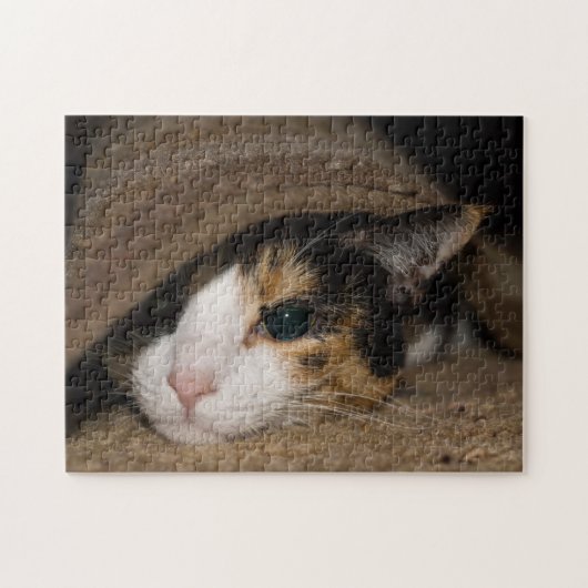 Calico Taco Legpuzzel (Horizontaal)