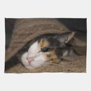 Calico Taco Theedoek
