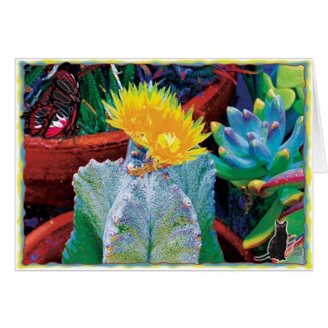 Caliente Cactus (Voorkant Horizontaal)