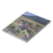 Califorinia, Anza-Borrego Desert SP, Zand Notitieblok (Gedraaid)