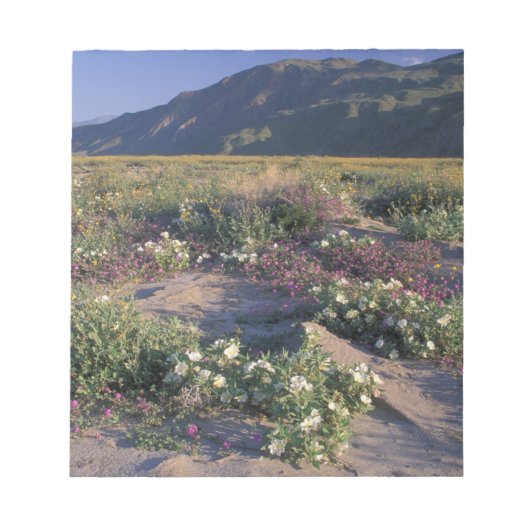 Califorinia, Anza-Borrego Desert SP, Zand Notitieblok (Voorkant)