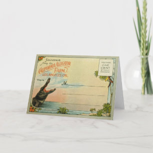 California Alligators Kaart