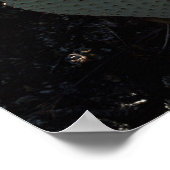 California, Anza Borrego Desert State Park 1 Poster (Hoek)