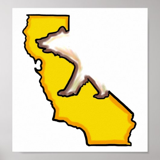 California beer State symbol wall poster (Voorkant)