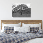 California Black Oak Tree Sepia Canvas Afdruk (Insitu (Slaapkamer))