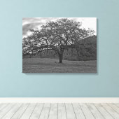 California Black Oak Tree Sepia Canvas Afdruk (Insitu (Houten vloer))