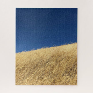 California Blue & Gold Puzzle Legpuzzel