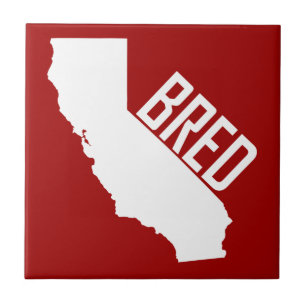 California Bred Tegeltje