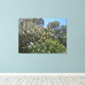 California Buckeye Canvas Afdruk (Insitu (Houten vloer))