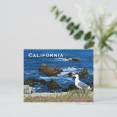 California Coast, Carte postale (Debout devant)