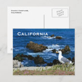 California Coast, Carte postale (Devant / Derrière)