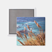 California Coastal Magnet Magneet (Voorkant / Achterkant)