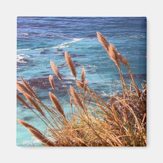 California Coastal Magnet Magneet (Voorkant)