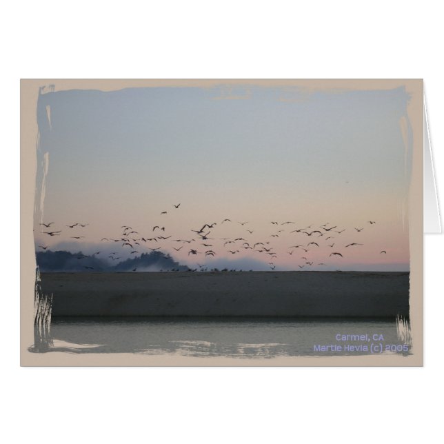 California Coastline Card Series (15) (Devant horizontal)