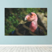 California Condor Canvas Afdruk (Insitu (Houten vloer))
