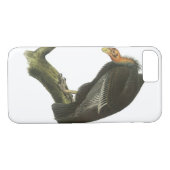 California Condor van Audubon Case-Mate iPhone Case (Achterkant (Horizontaal))