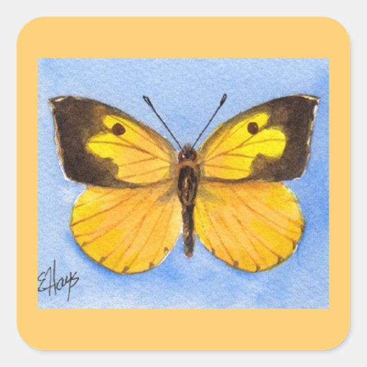 California Dogface Butterfly Sticker (Voorkant)